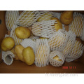 Norme d&#39;exportation Pomme de terre fraîche jaune